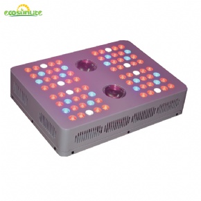 Gbox-06 340W LED COB Grow Box