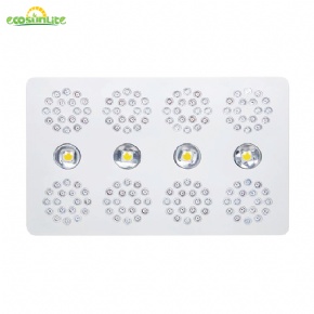 Gbox-09 569W LED COB Grow Box