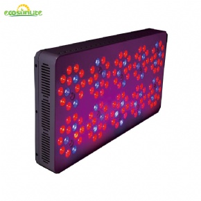 GE-05 540W LED Grow Box